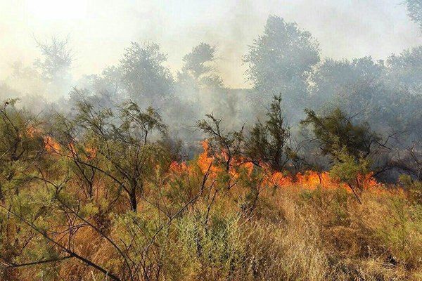 فرماندار ایذه خبر داد: تالاب میانگران برای چندمین بار آتش گرفت/ حریق عمدی بود